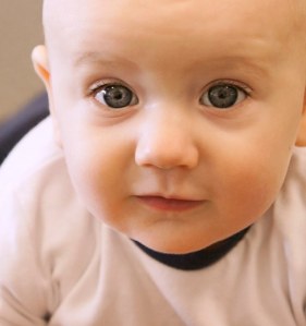 Come see us at the Waikato Baby Expo!