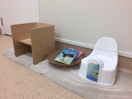 Toilet Learning Can Be Established Earlier Than You Think!